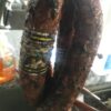 Alligator Sausage - Image 2